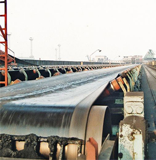 Oil Resistant Conveyor Belt